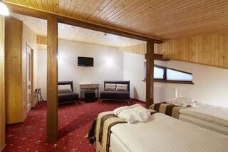 Отель Graal resort Буковель Двухместный номер эконом-класса с 2 отдельными кроватями-1